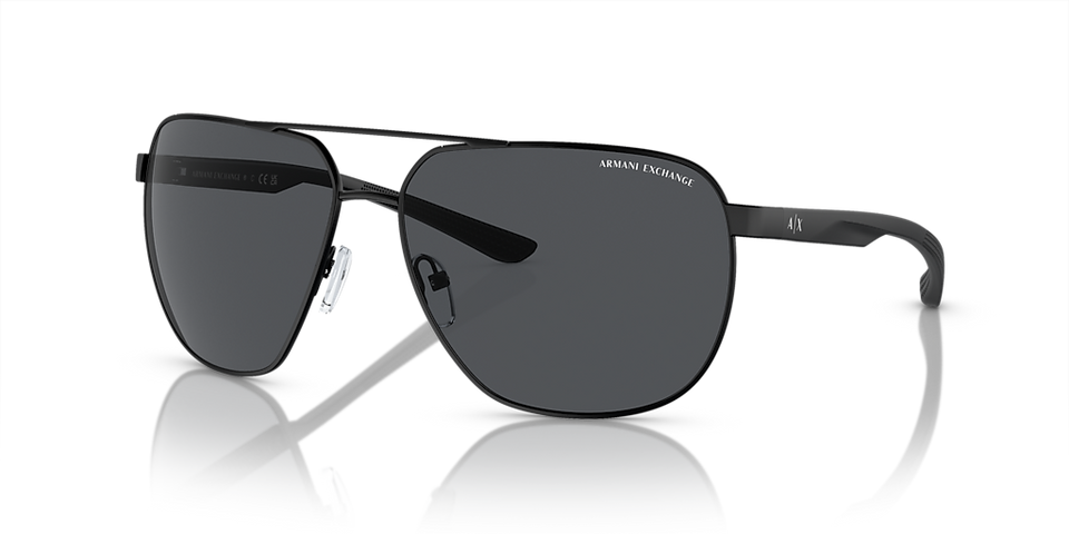 Armani Exchange AX2047S Women's Sunglasses