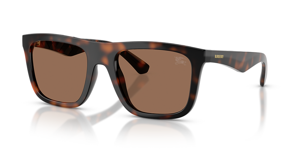 BURBERRY 0BE4458U 300273 55 Men's Full Rim Sunglasses