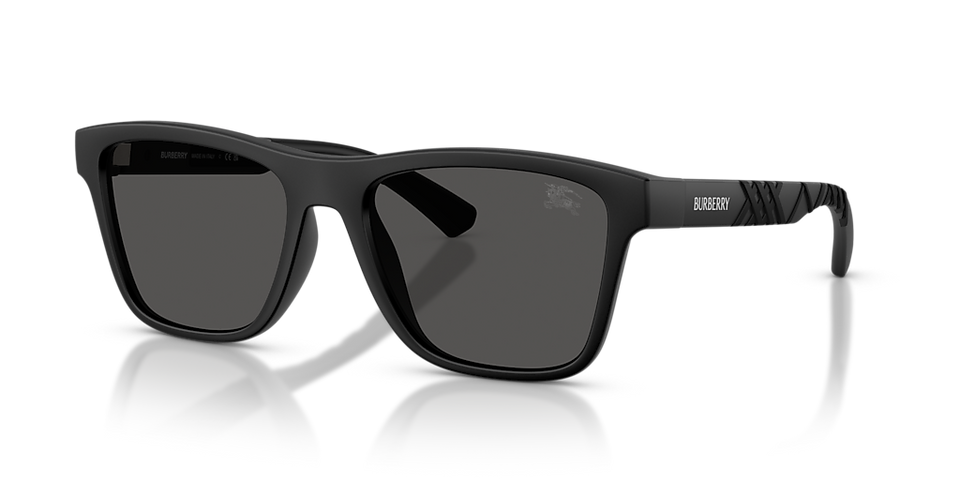 BURBERRY 0BE4482U 346487 55 Men's Full Rim Sunglasses