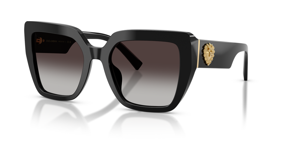 DOLCE & GABBANA 0DG4538 Women's Full Rim Sunglasses