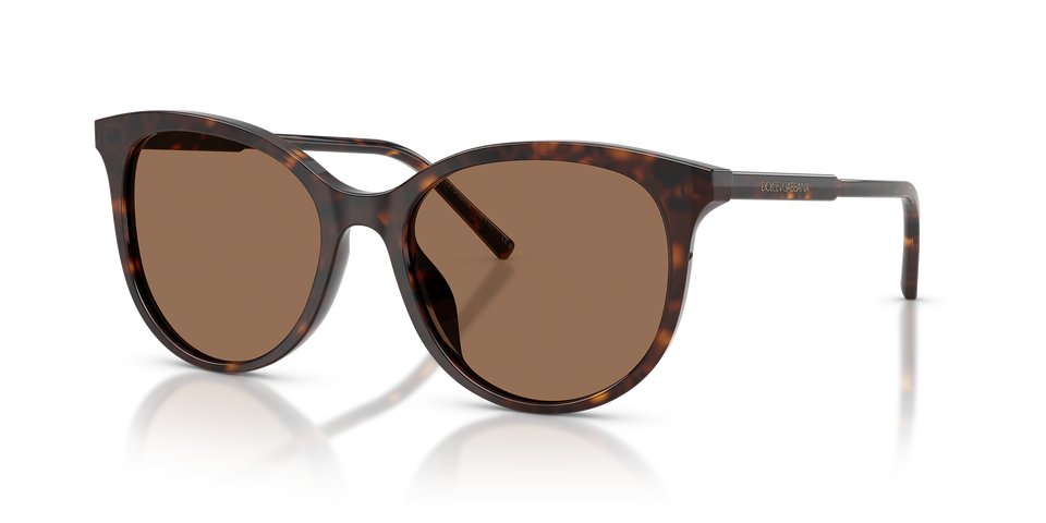 DOLCE & GABBANA 0DG4540 Women's Full Rim Sunglasses