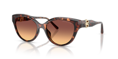 MICHAEL KORS 0MK2271U 403178 Women's Full Rim Sunglasses image 1
