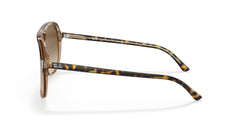 Ray-Ban BILL RB2198 Unisex Sunglasses