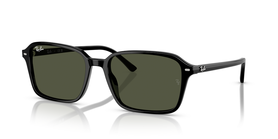 Ray-Ban RB2231 Unisex Sunglasses