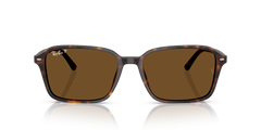 Ray-Ban RAIMOND RB2231 Unisex Sunglasses-image 2