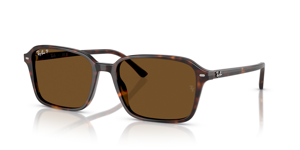 Ray-Ban RAIMOND RB2231 Unisex Sunglasses