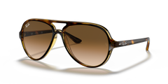 Ray-Ban RB4125 Men's Sunglasses-image 1