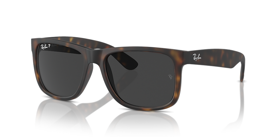 Ray-Ban RB4165 Men's Sunglasses