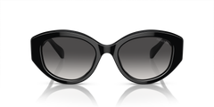 Swarovski SK6005 Women's Sunglasses-image 2