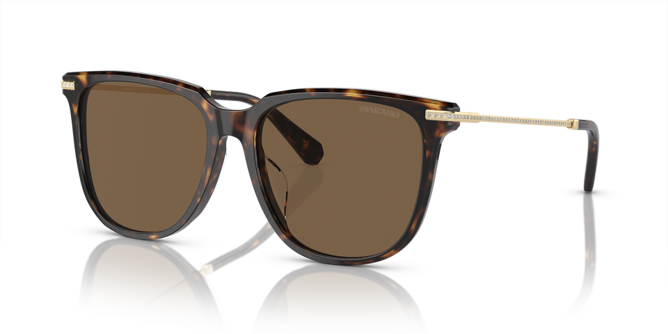 Swarovski SK6015D 100273 55 Women's Sunglasses