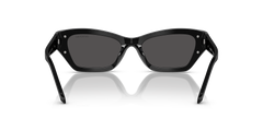 Swarovski SK6029 Women's Sunglasses-image 4