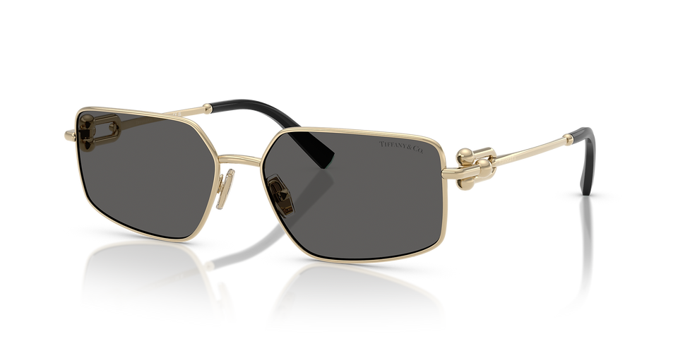 TIFFANY 0TF3111 6021S4 58 Unisex Full Rim Sunglasses
