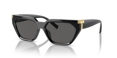 TIFFANY 0TF4205U 8001S4 56 Women's Full Rim Sunglasses-image 1