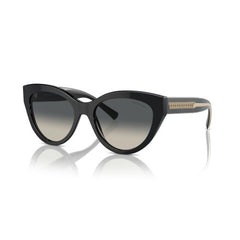 Tiffany TF4220 Women's Sunglasses-image 1