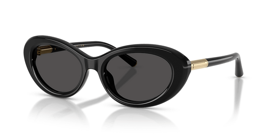 Dolce & Gabbana Oval -Style Sunglasses