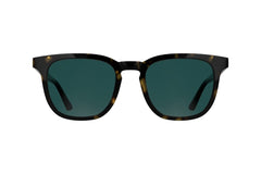 Calvin Klein Phantos Style Sunglasses-image 2
