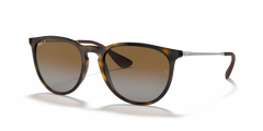 Ray-Ban Unisex RB4171 ERIKA 710/T5 54-18 145 3P Sunglasses-image 1
