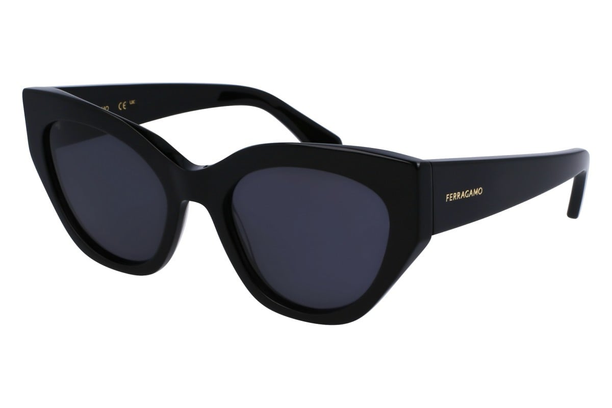 Salvatore Ferragamo Oval SF1107S Women's Sunglasses-image 1