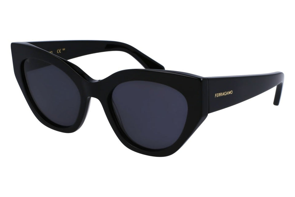Salvatore Ferragamo Oval SF1107S Women's Sunglasses