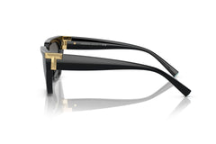 Tiffany Irregular TF4205U 8001/S4 56 Women's Sunglasses-image 2