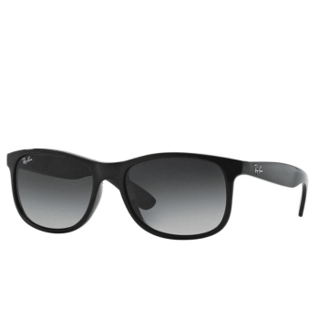 Ray-Ban Andy RB4202  Sunglasses