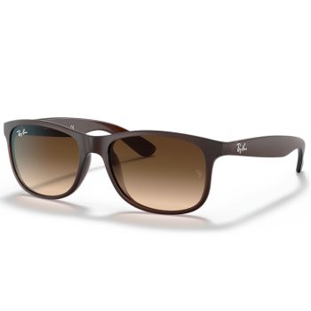 Ray-Ban Andy Brown Sunglasses-RB4202